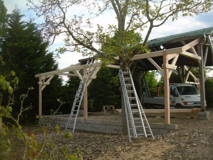 Pose de charpente Château-Renard